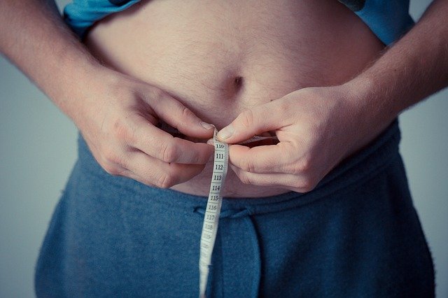 内臓脂肪を減らすとされているサプリとは？内臓脂肪についても解説