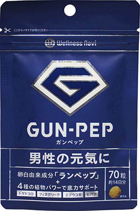 Wellness Navi GUN-PEP